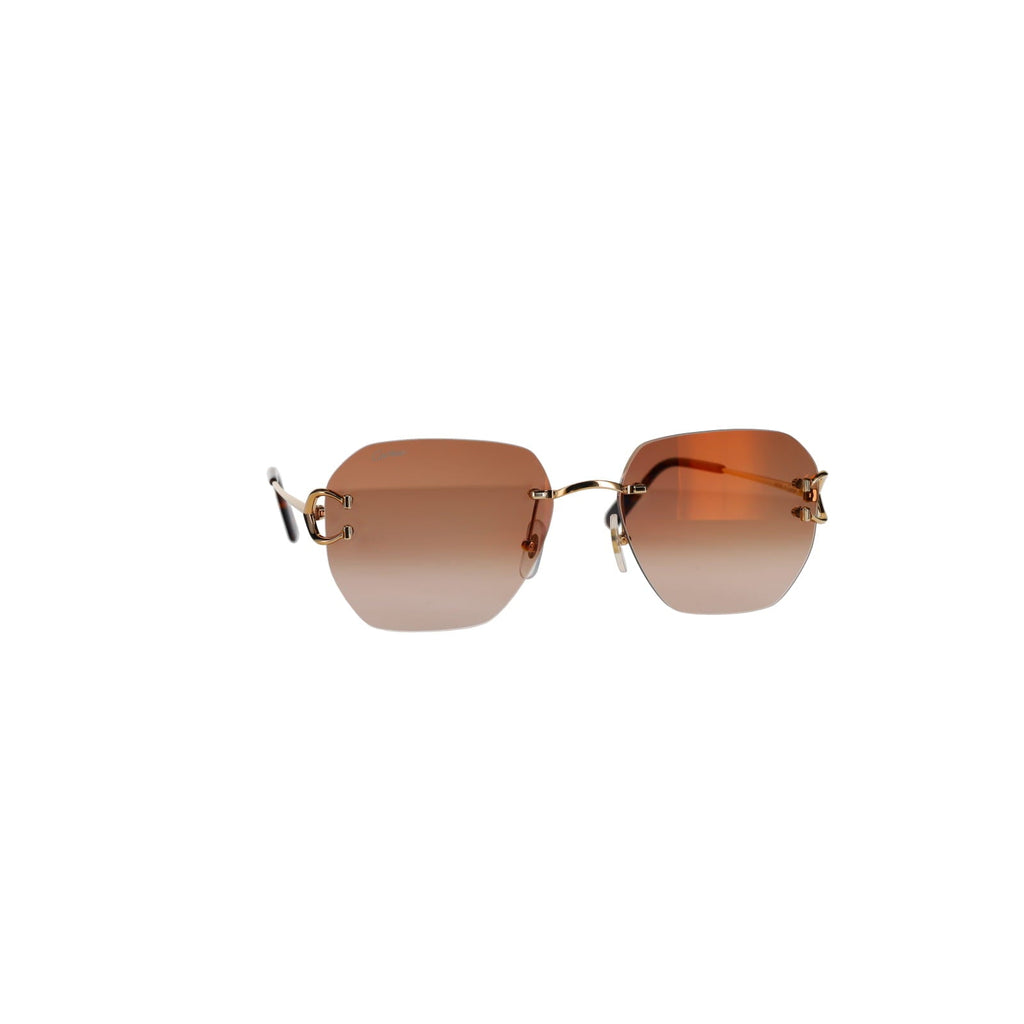 CT0394S Signature C Sunglasses
