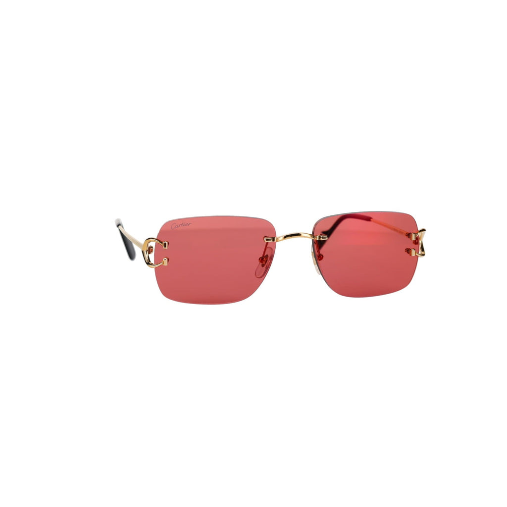 CT0330S Signature C  Sunglasses