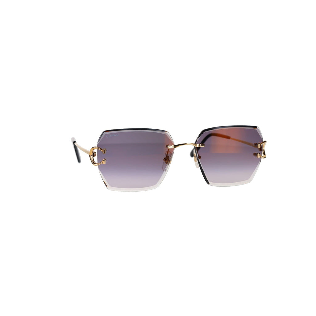 CT0466S  Signature C Sunglasses