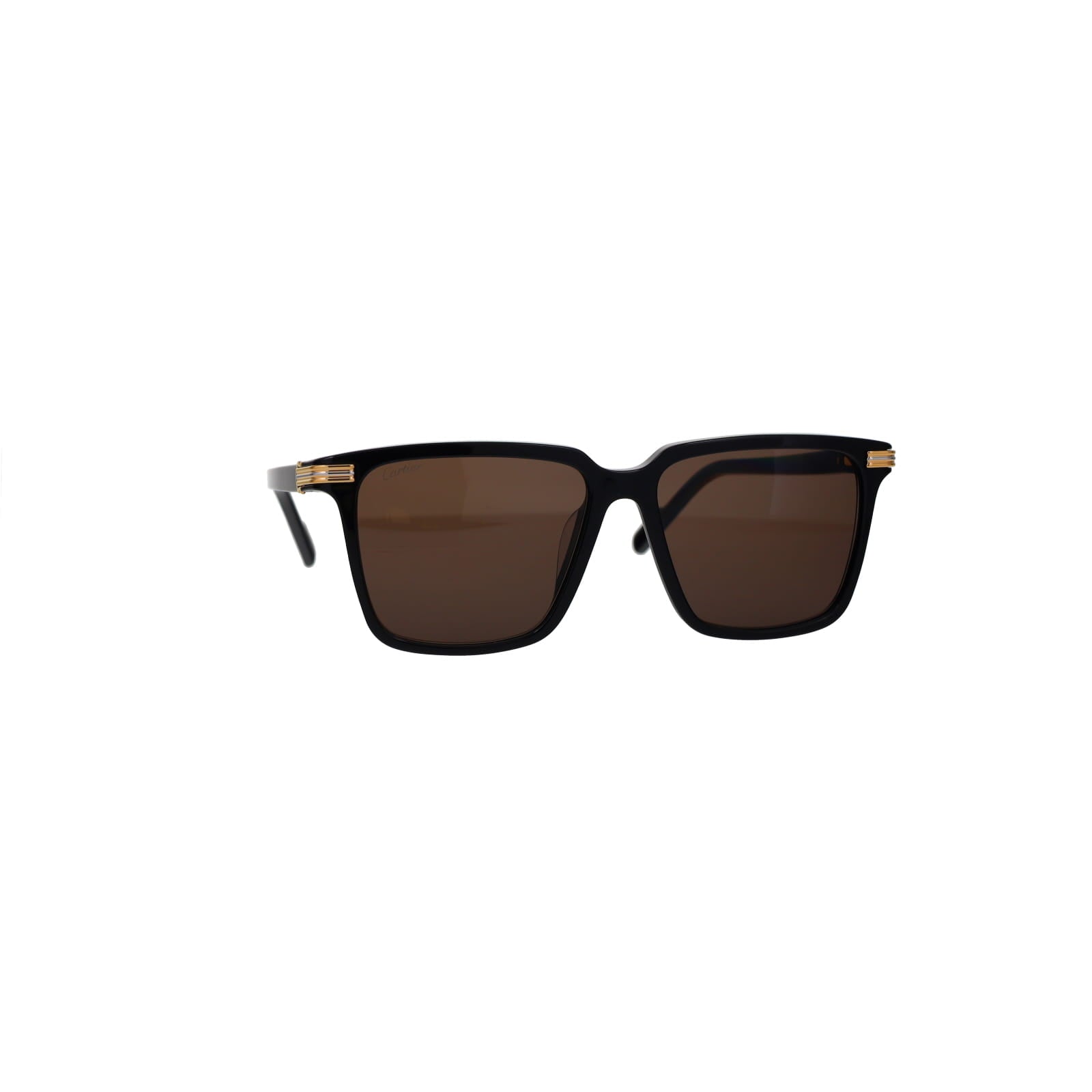 CT0366S Contemporary Acetate Sunglasses